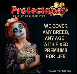 Girl dressed up for dia de la muerte cuddles a cat promoting that Protectapet Insures any breed or any age of pet.